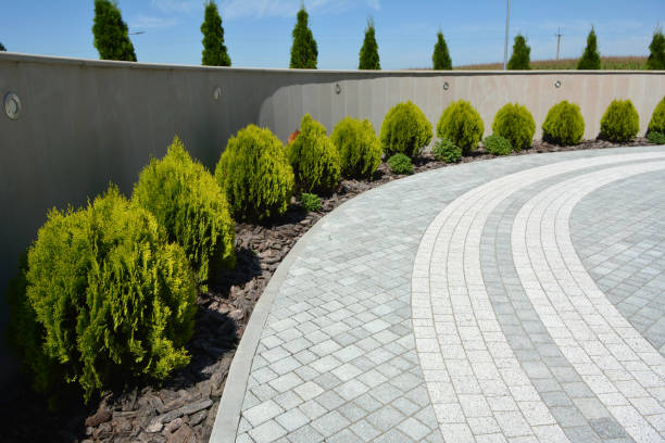 Best Decorative Driveway Pavers  in Hayden, CO